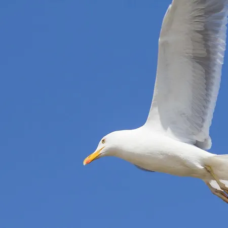 Jantar - Uzdrowisko Kołobrzeg