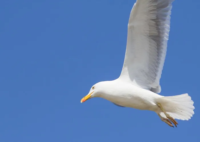 Jantar - Uzdrowisko Kołobrzeg